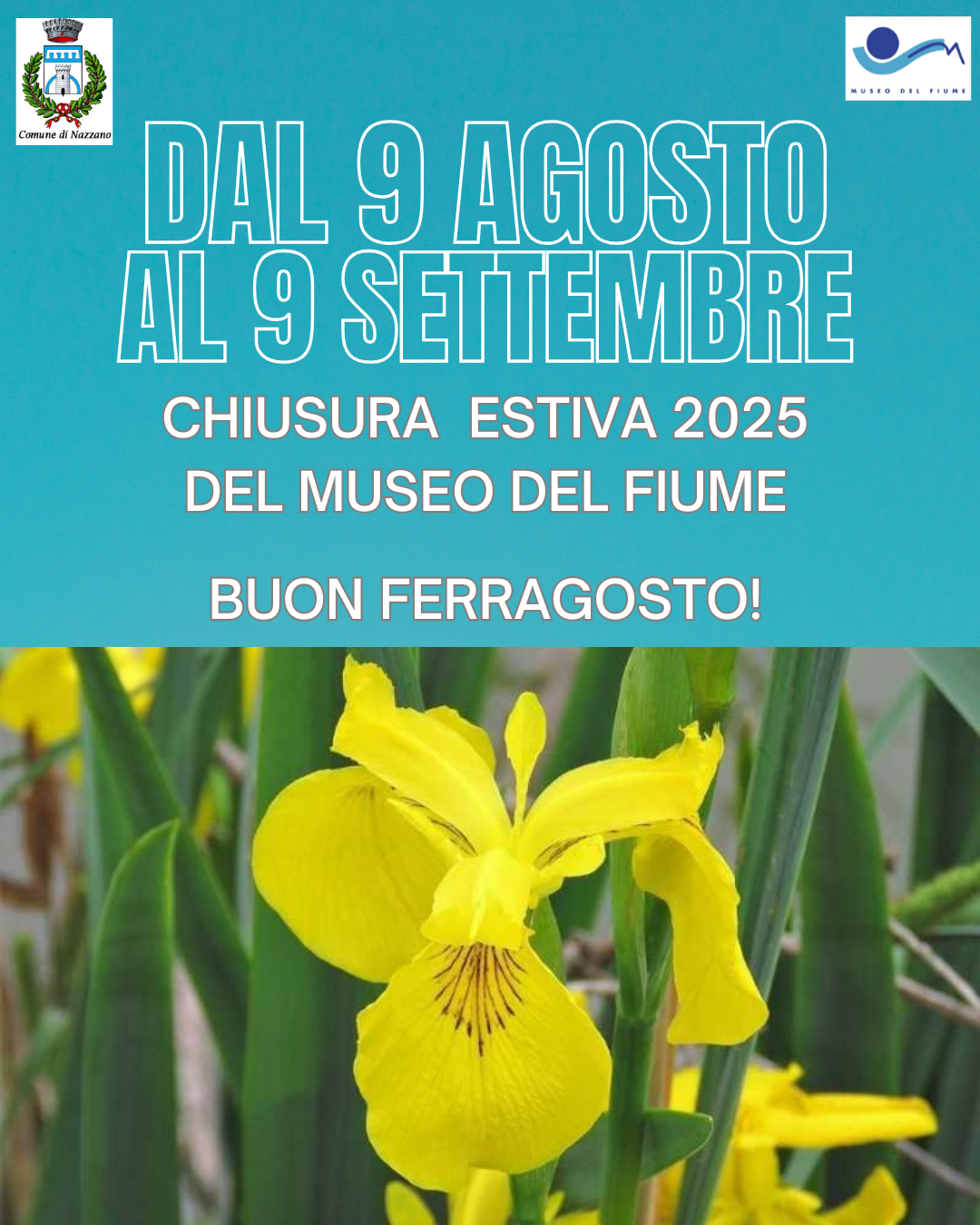Chiusura estiva Museo