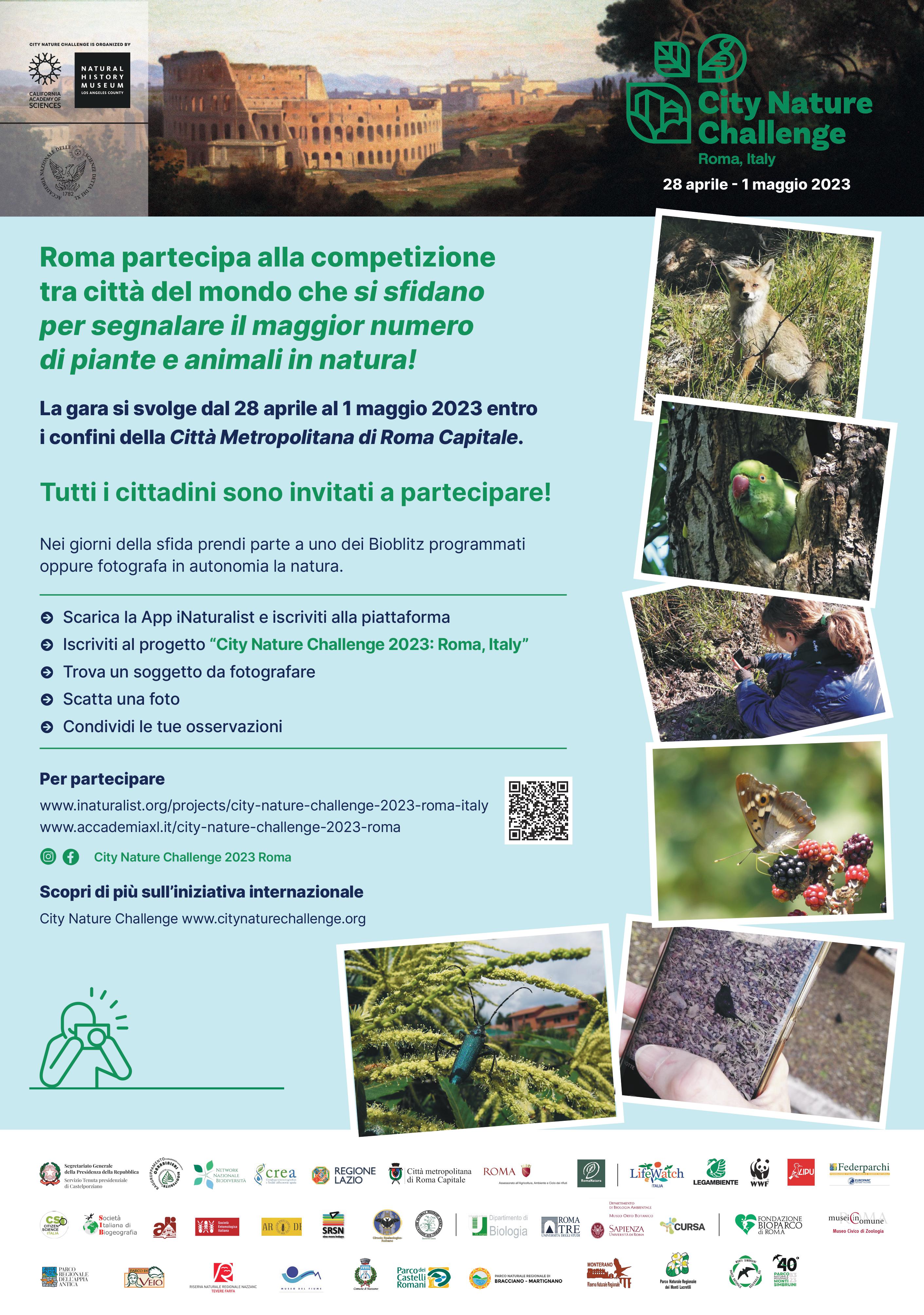 Locandina City Nature Challenge 2023: Rome, Italy