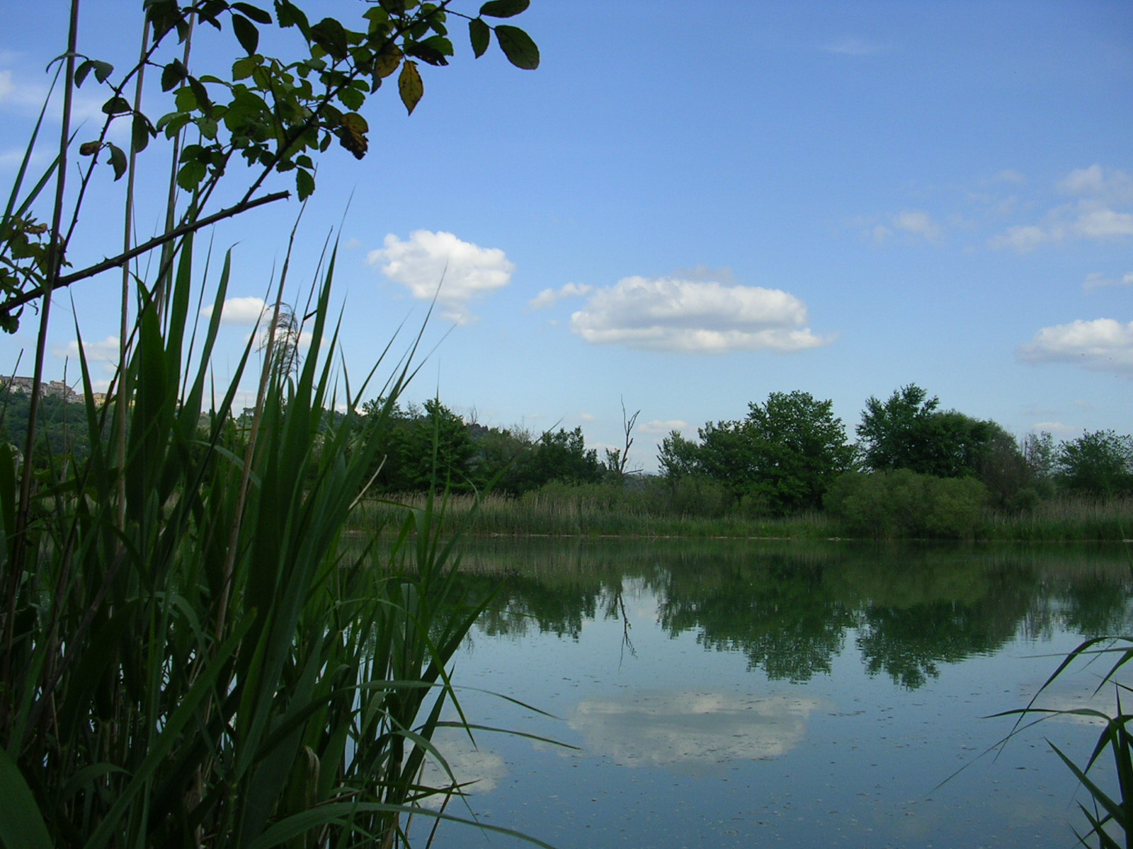 Riserva naturale di Nazzano