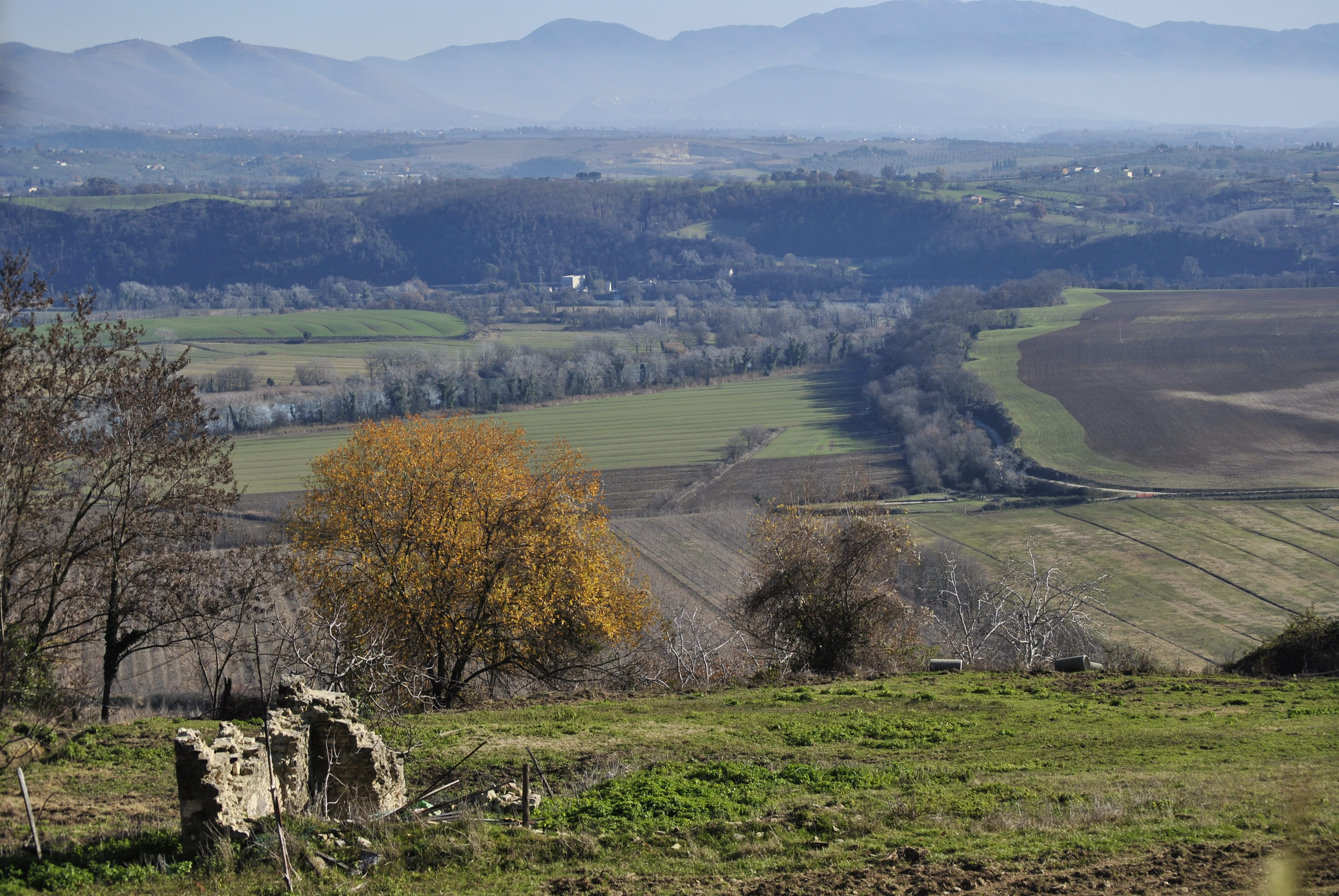 Riserva naturale di Nazzano